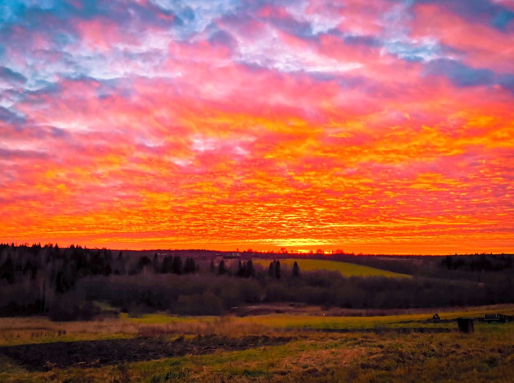 Photograph by Дмитрий Вальков