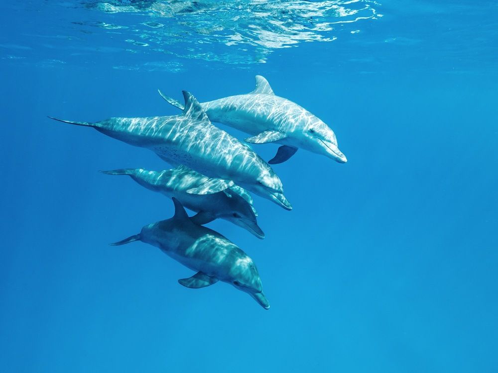 Photograph by Serge Melesan