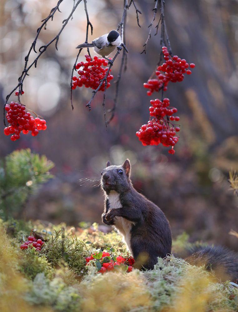 Photograph by Евгения Левина