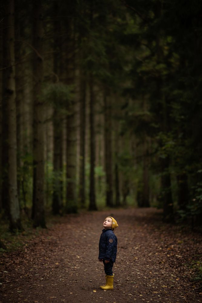 Photograph by Sandra Tines