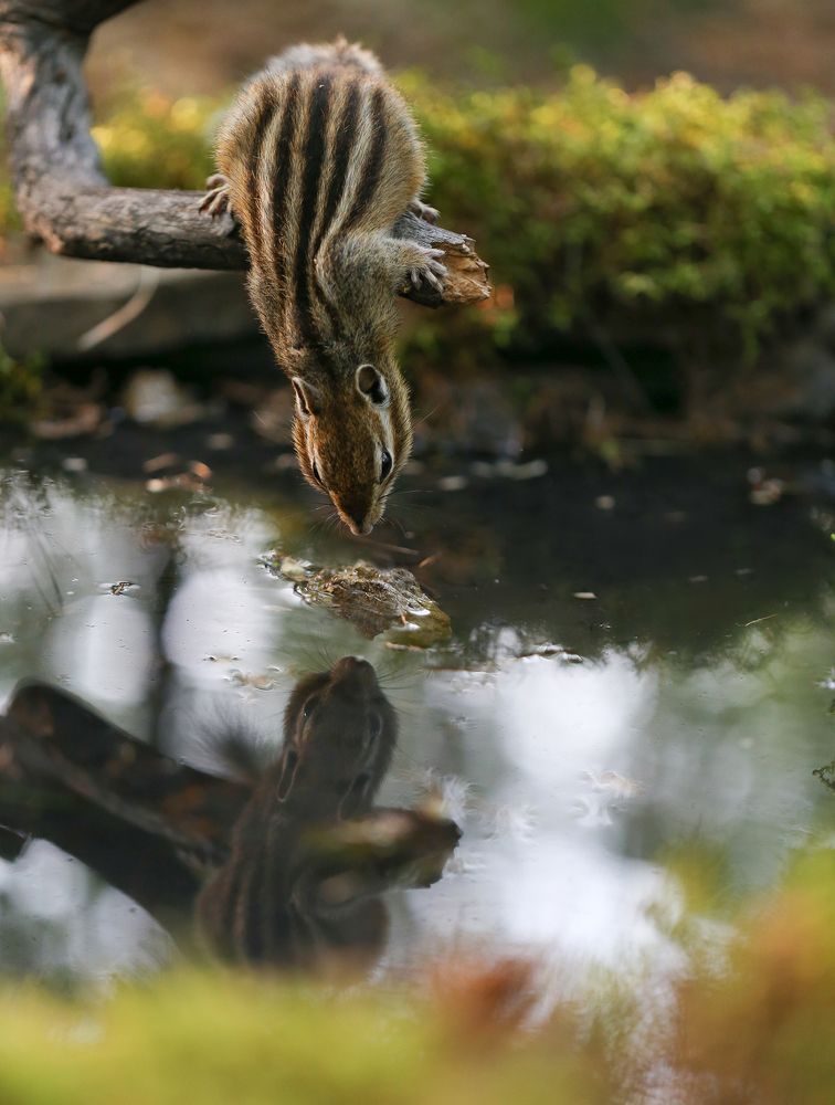 Photograph by Евгения Левина