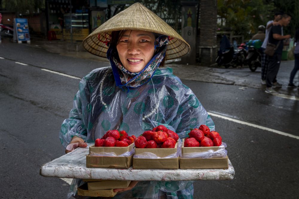 Photograph by Shaker Alwarsh