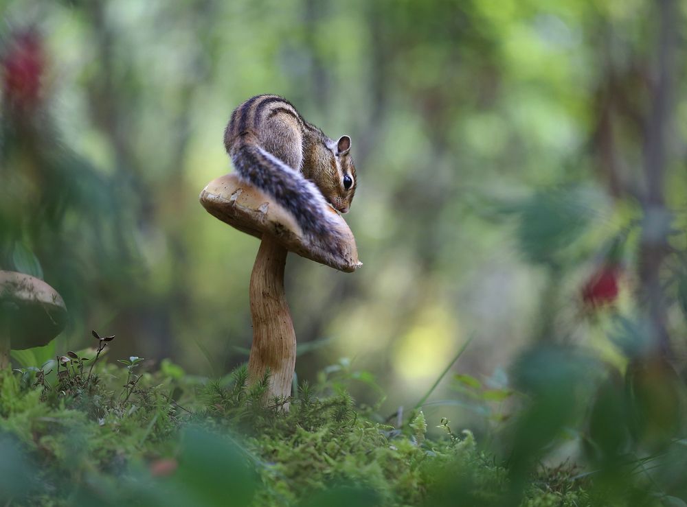 Photograph by Евгения Левина