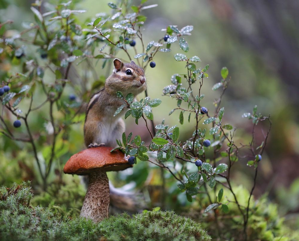 Photograph by Евгения Левина