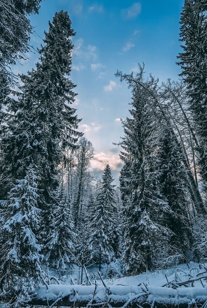 Photograph by Александр Державин