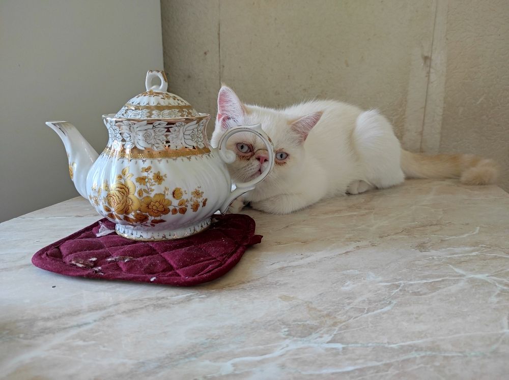 Photograph by Алиса