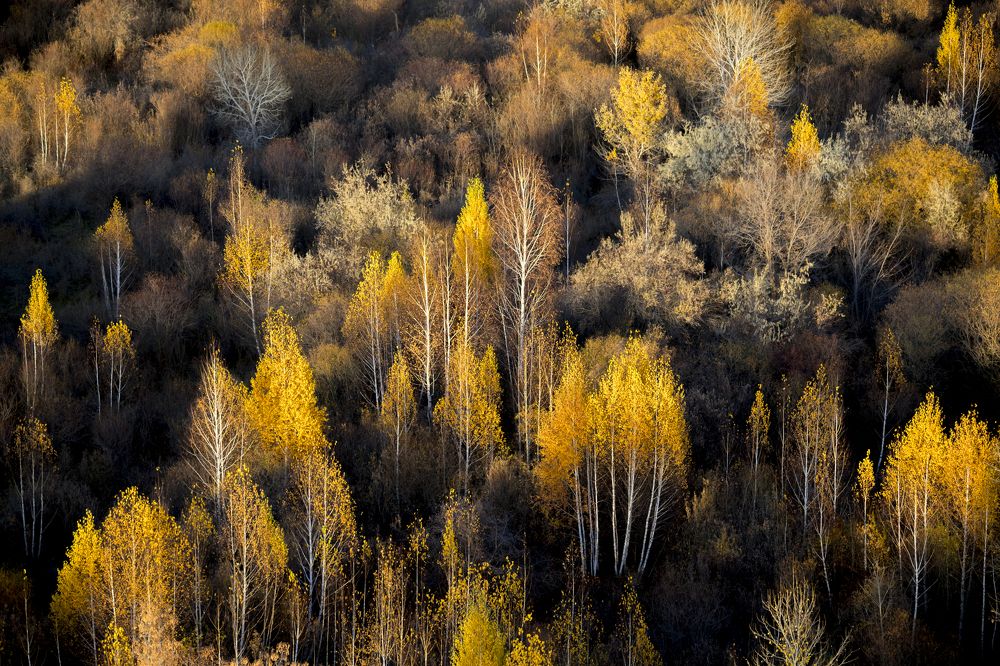 Photograph by Григорий Беденко