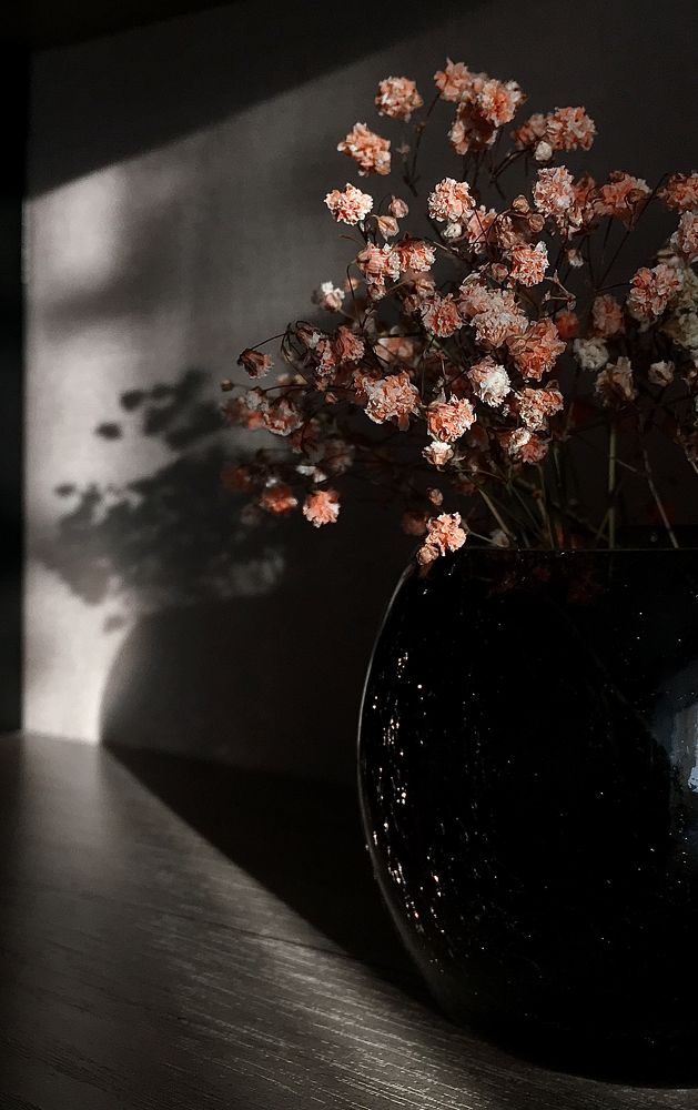 Photograph by Анна Яковлева