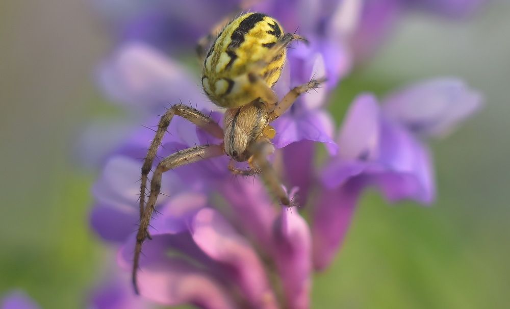 Photograph by Александр Кочуркин