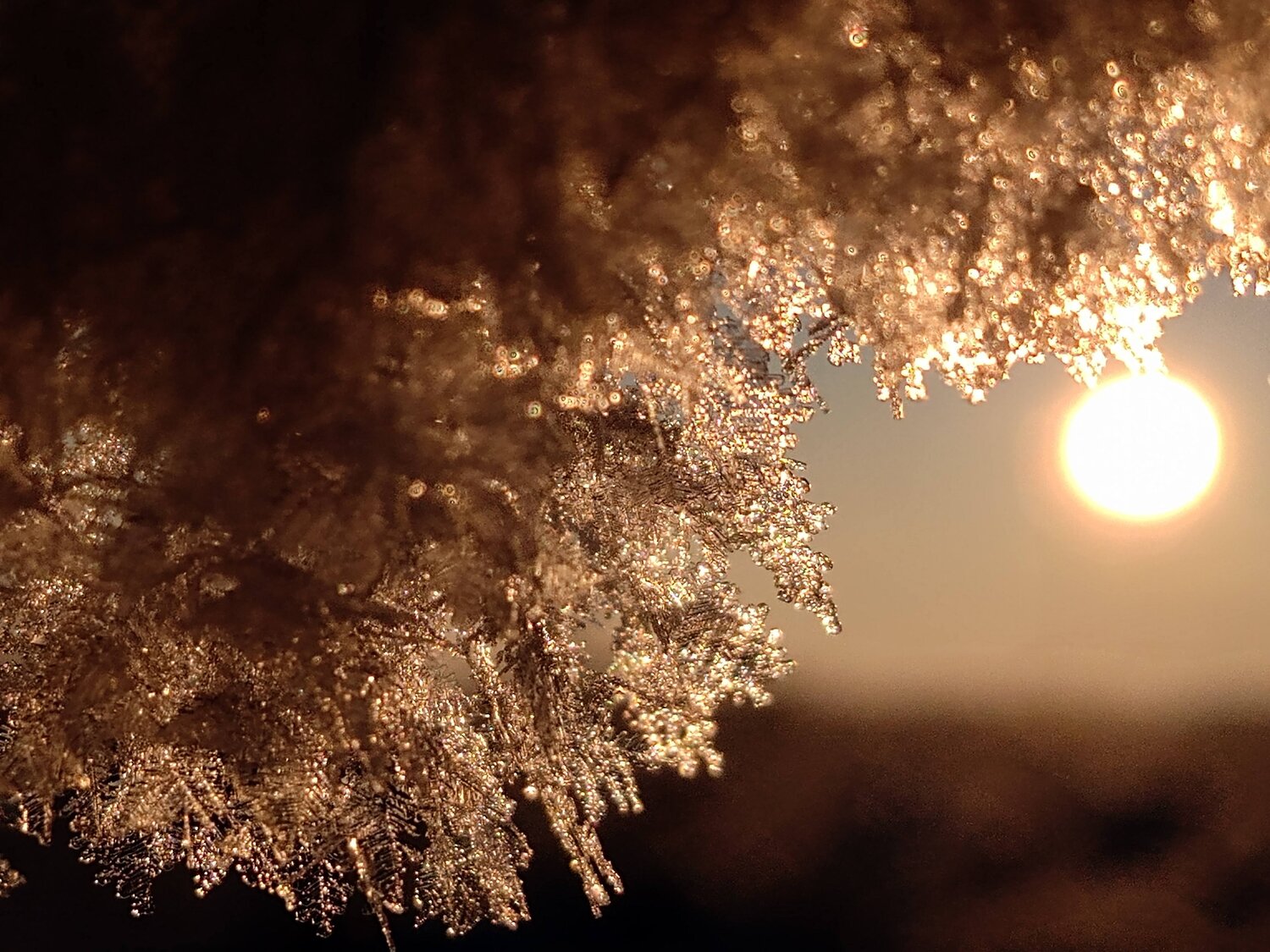 Photo #5626743