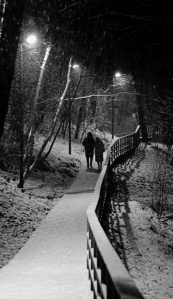 Двое на прогулке в снежную ночь.