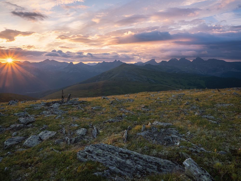 ...Здравствуй , Солнце !...