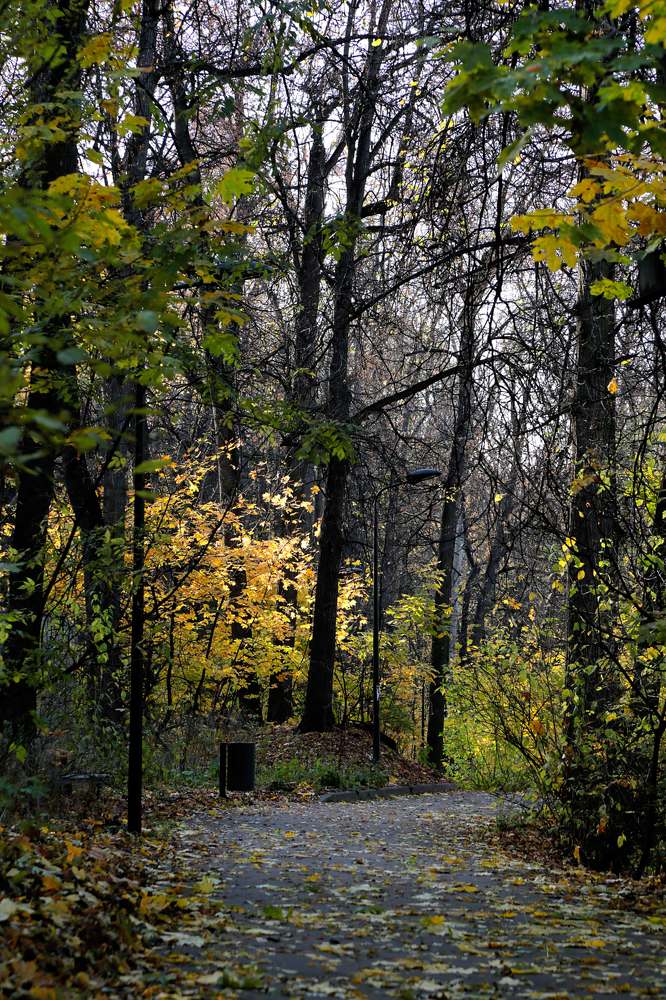 Photograph by Николай Котов