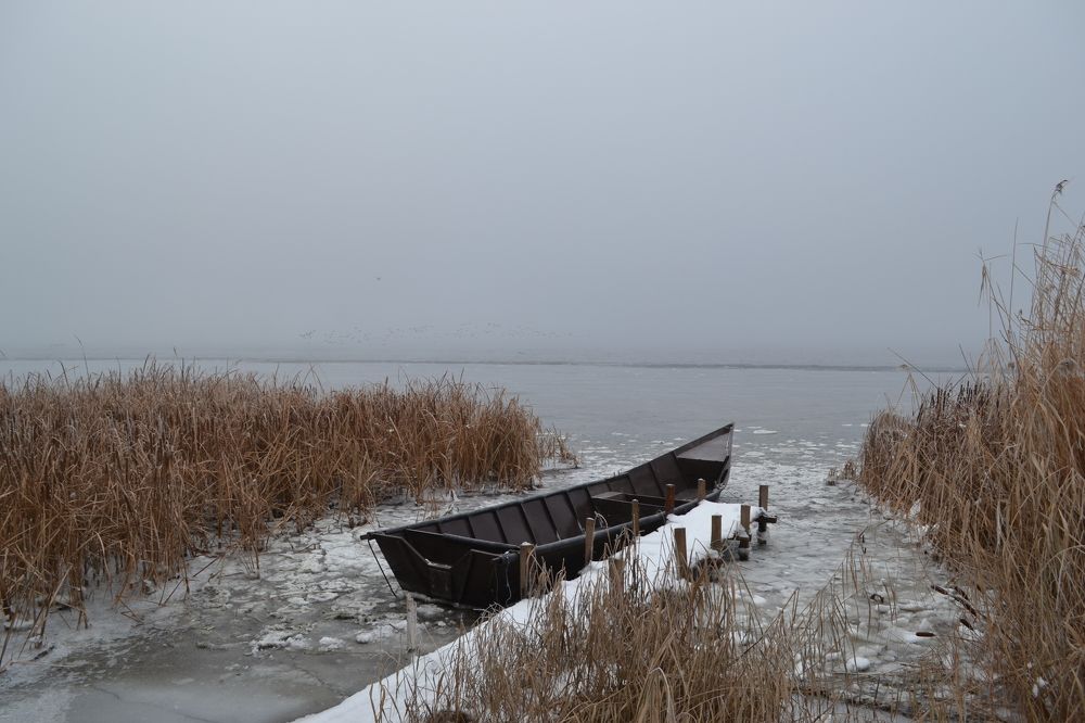 Photograph by Оксана Кочубеева