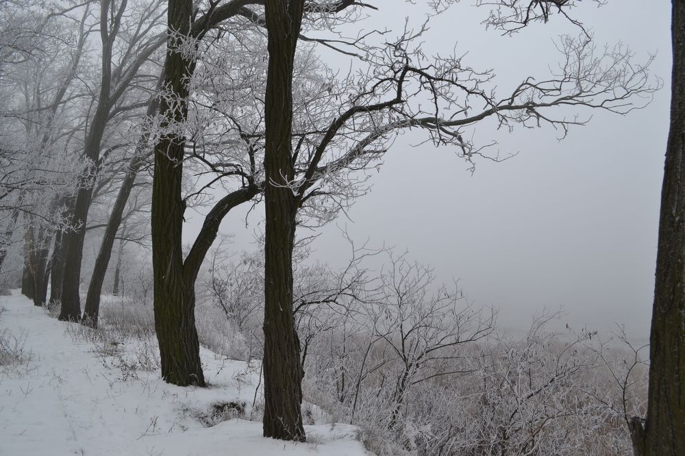 Photograph by Оксана Кочубеева