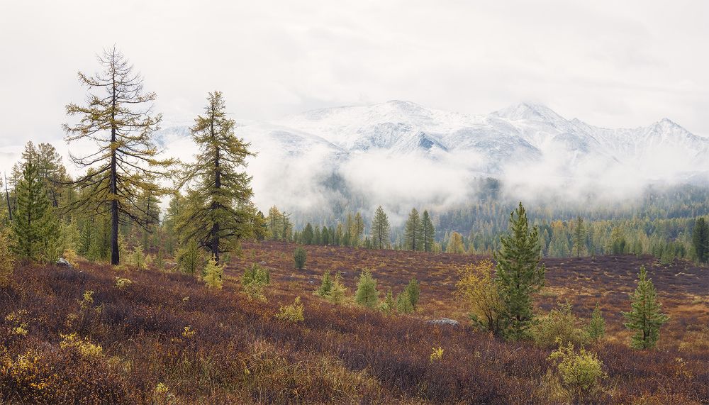...Приближение зимы...
