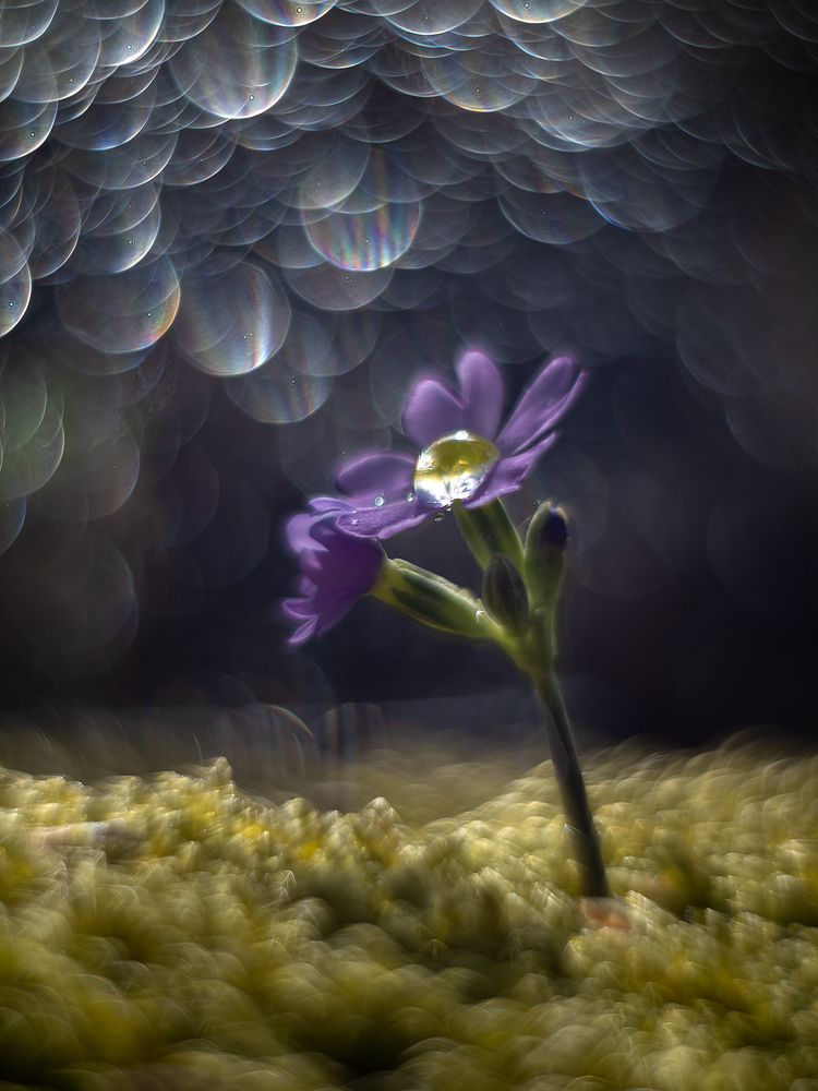 ...Блистающий Мир...