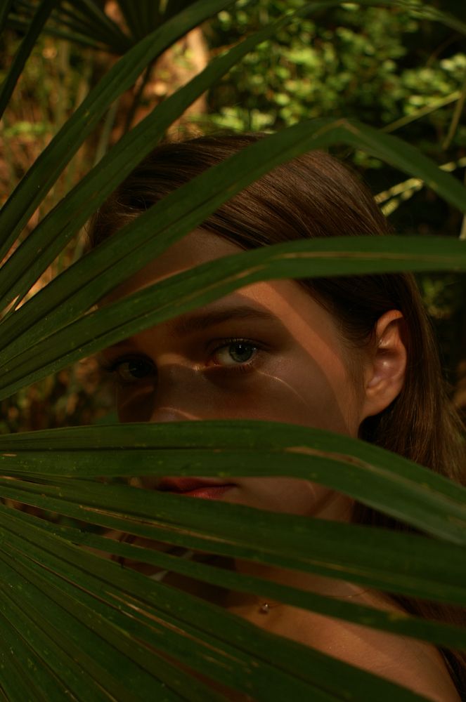 Photo #5626918