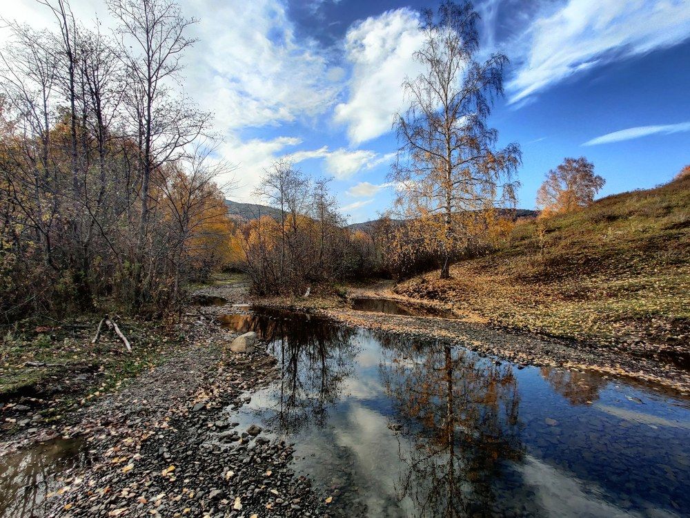 Photograph by Сошенко Эллина