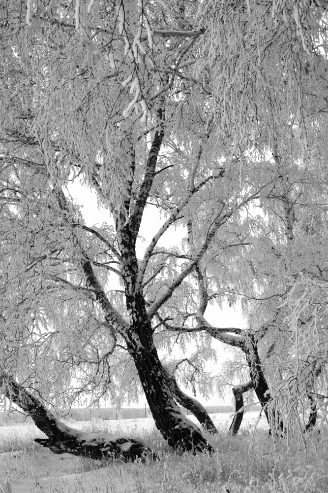 Photograph by Рашит Чумарин