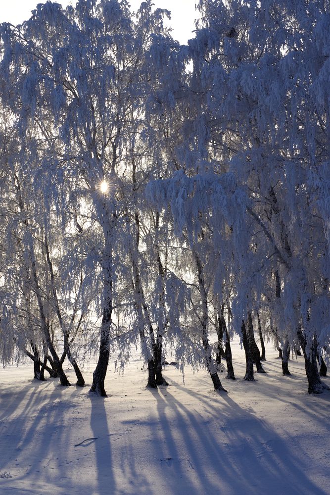 Photograph by Рашит Чумарин