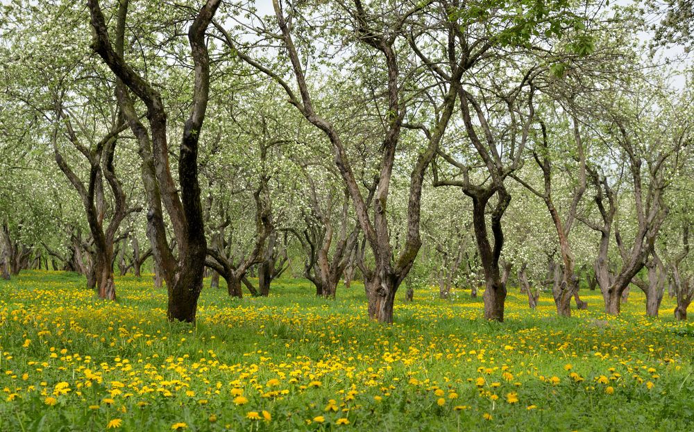 Photograph by Станислав