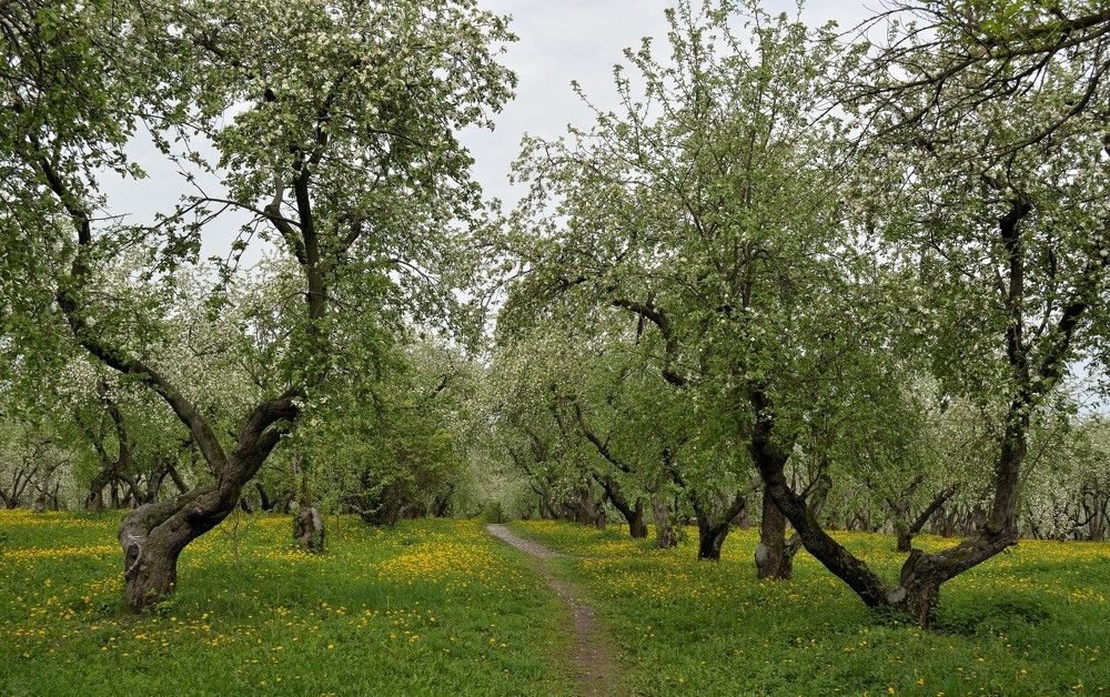 Photograph by Станислав