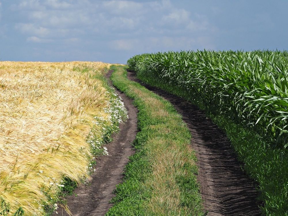 Photograph by Степанов Евгений