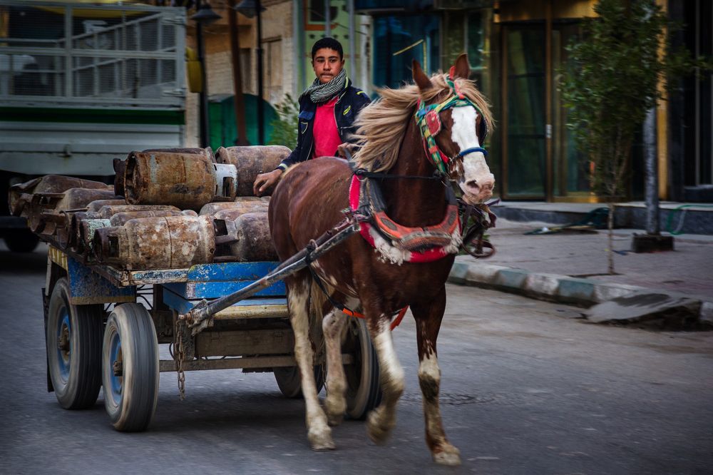 Photograph by Shaker Alwarsh