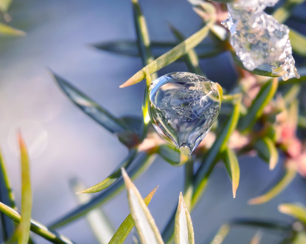 Мечты о путешествии на воздушном шаре.