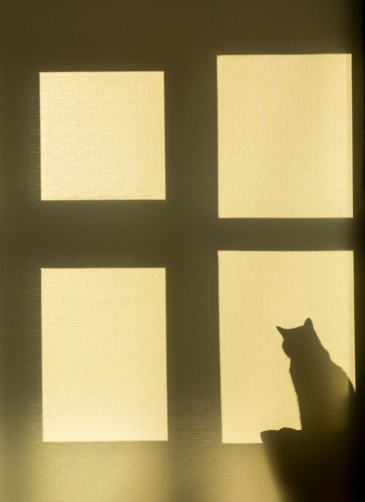 Photograph by Кристина Сотникова