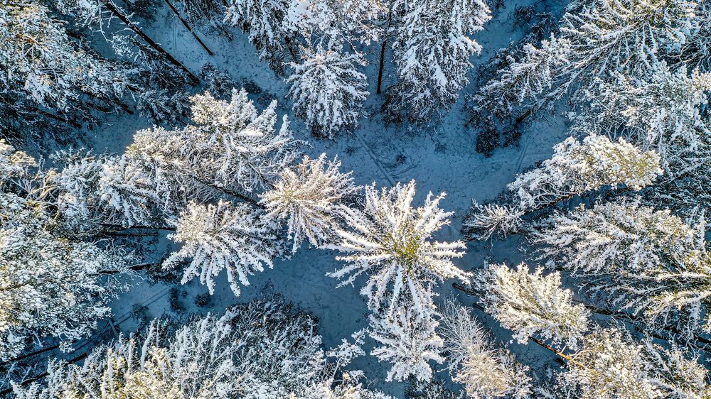 Photograph by AVIC A.M.