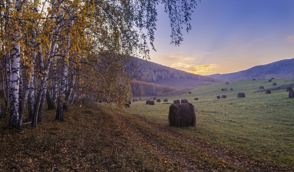 По дорожкам осеннего леса.