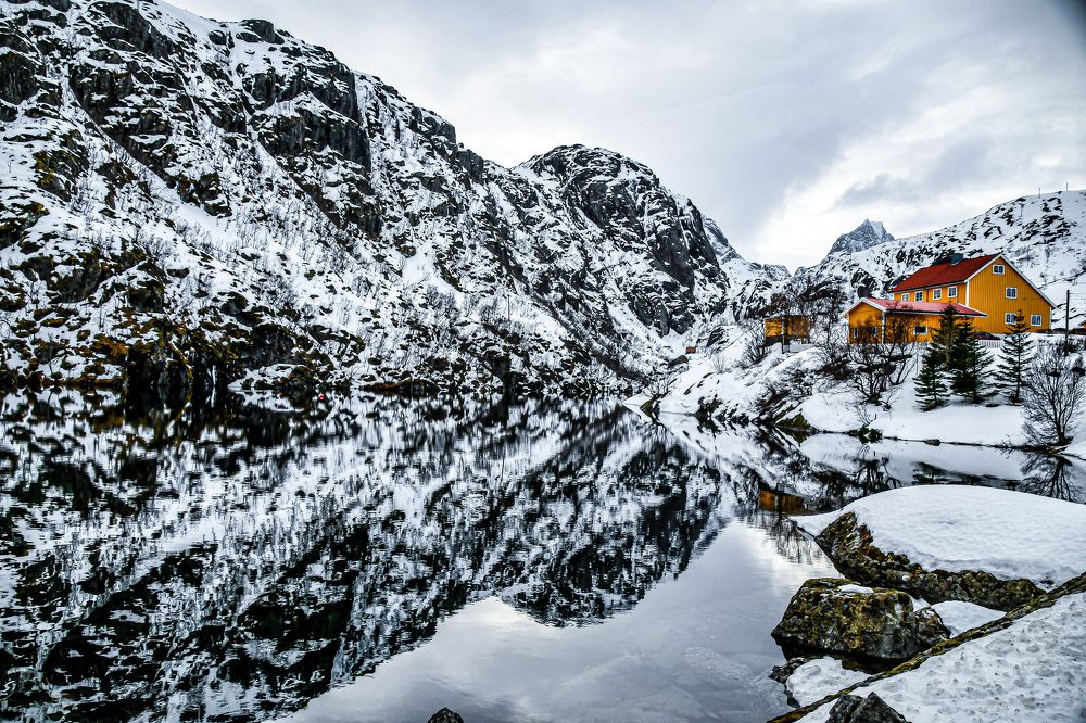 Photograph by AVIC A.M.