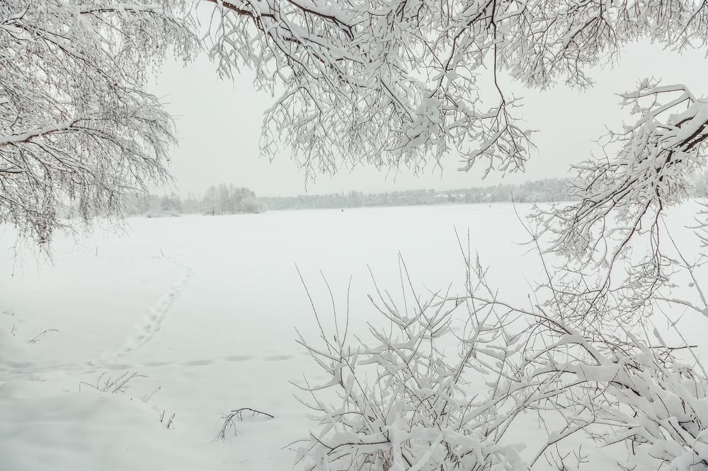 Photograph by Дмитрий Трепольский