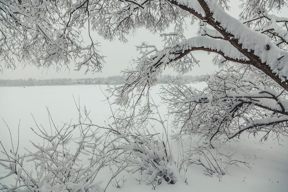 Photograph by Дмитрий Трепольский