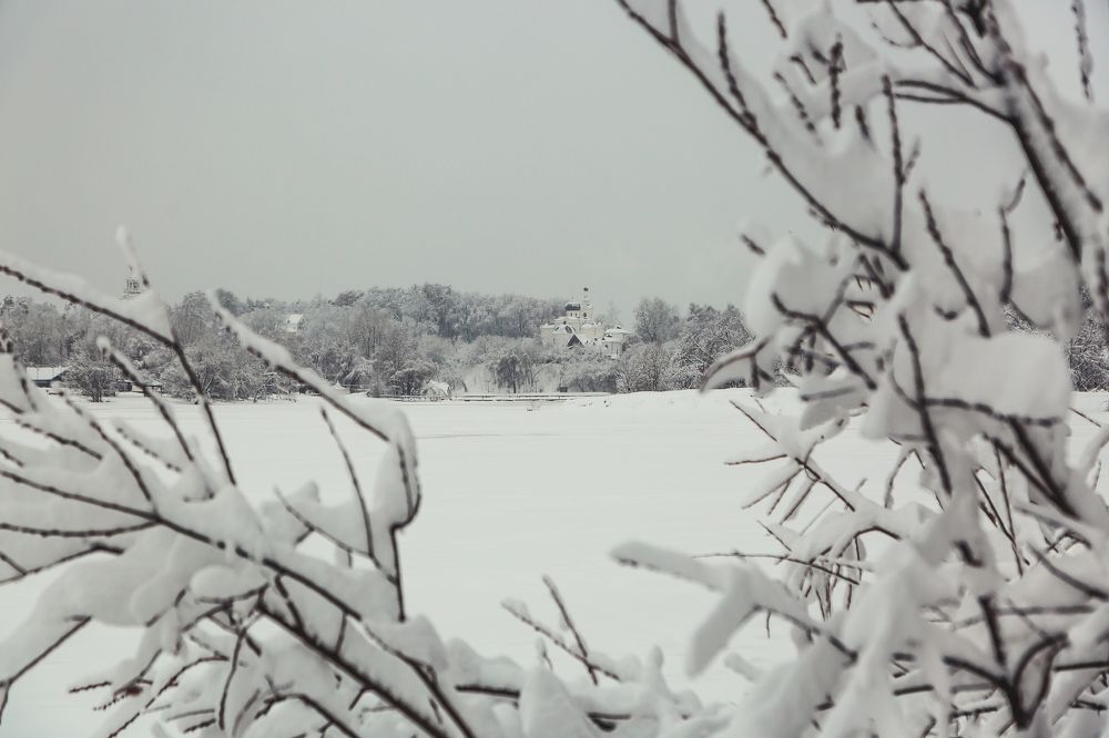 Photograph by Дмитрий Трепольский