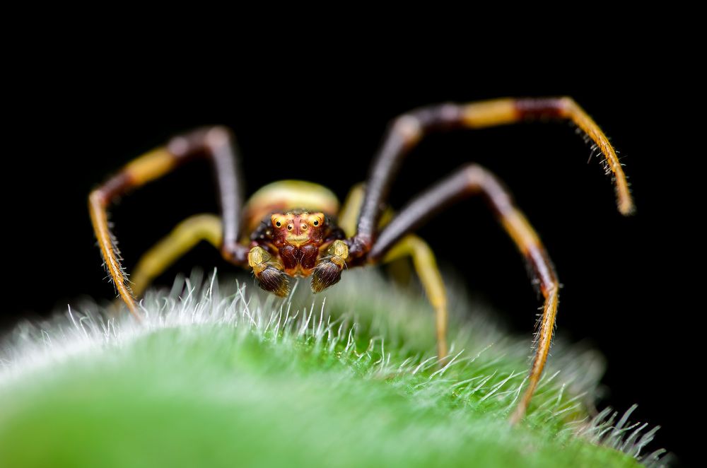 Фотография автора Сергей Чебанов