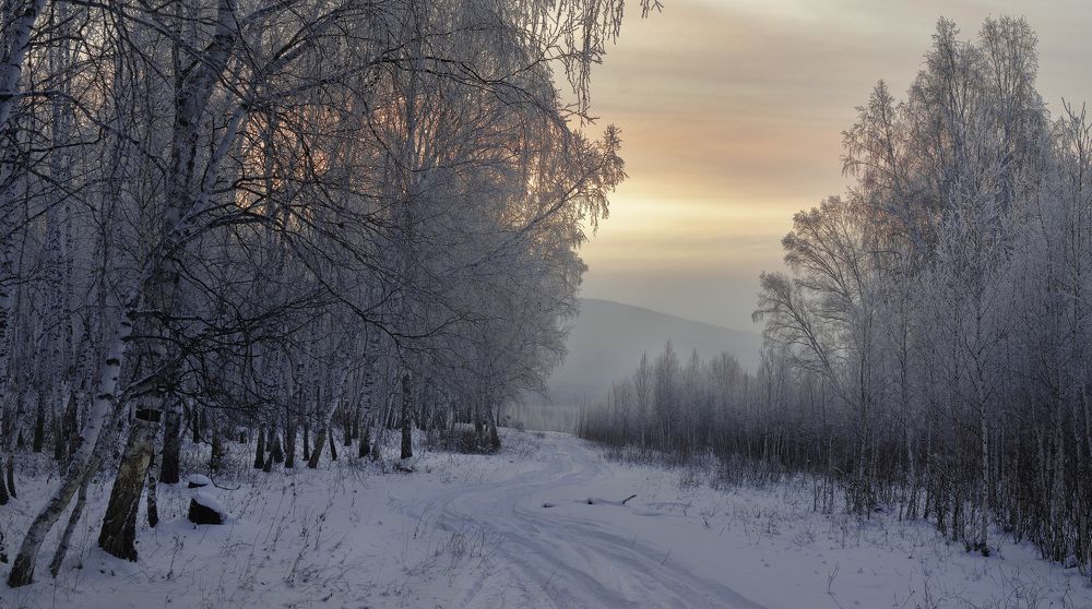 Photograph by Николай Привалов