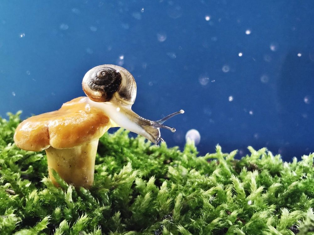 Photograph by Юлия Иванова