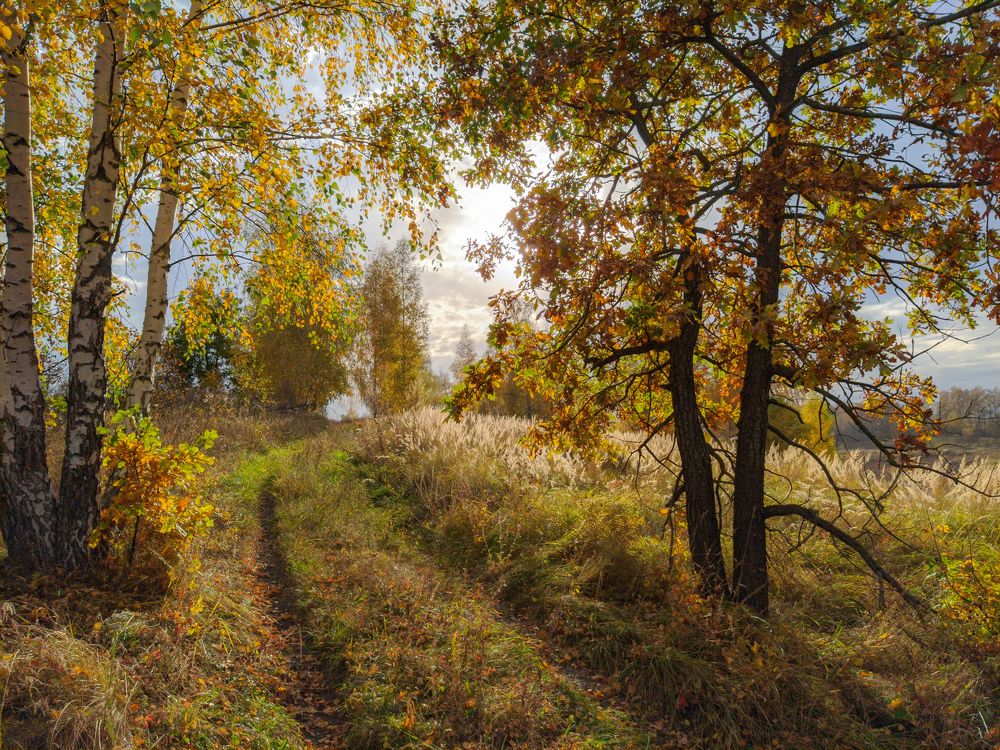 Photograph by Светлана Кондрашова