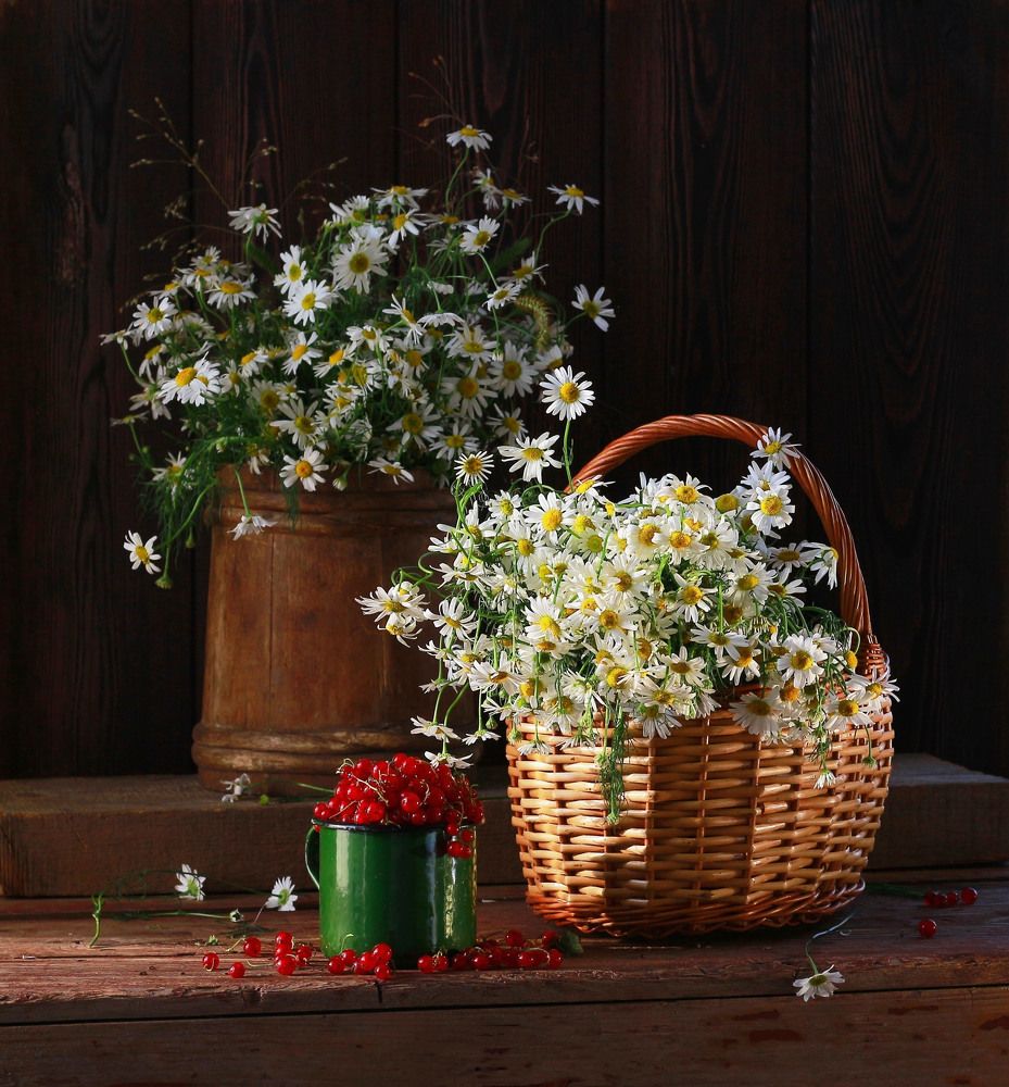 Photograph by Наталья Казанцева