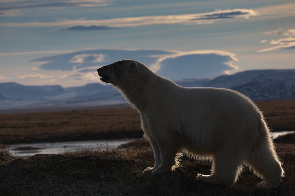 Photograph by Владимир Цветов