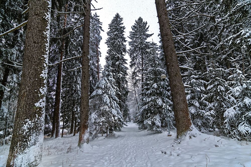 Photograph by Galina