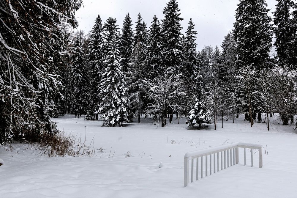 Photograph by Galina