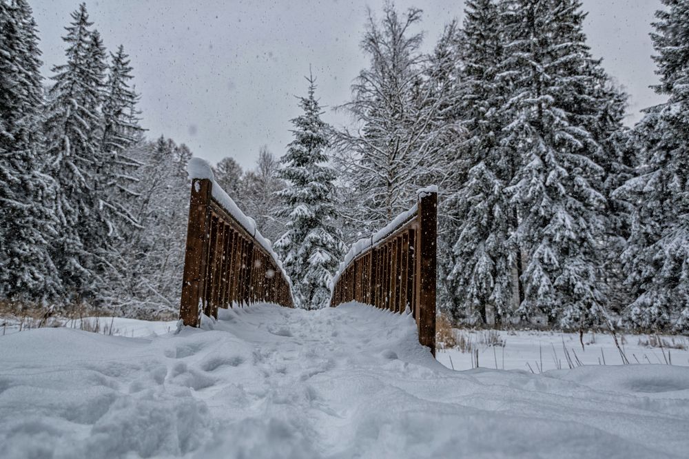 Photograph by Galina