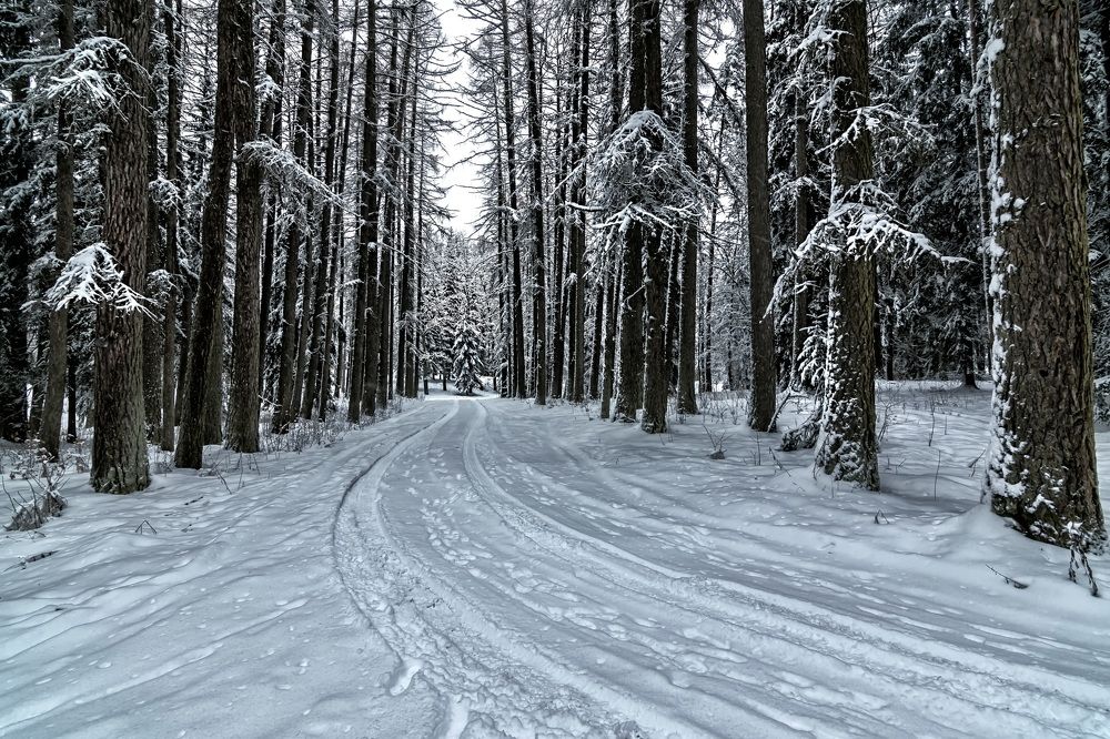 Photograph by Galina