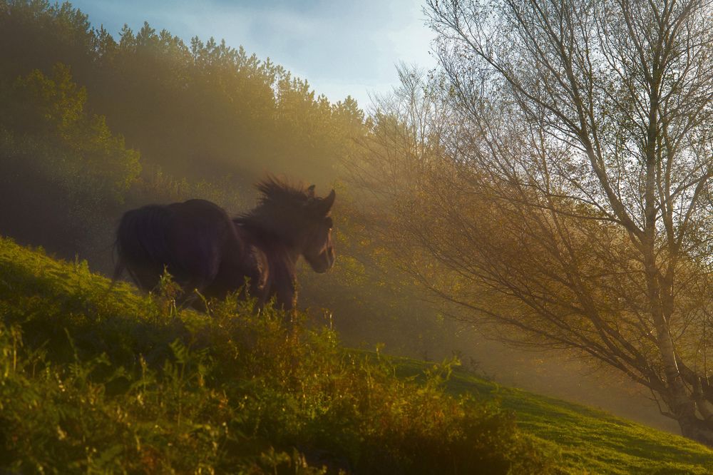 Photograph by Igor Vinogradov