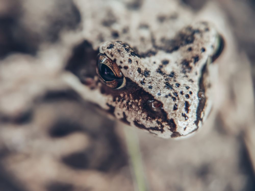 Photograph by Мария Фак