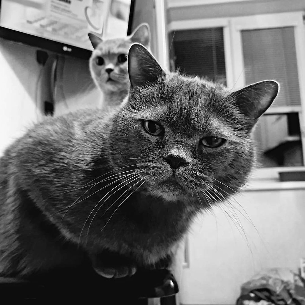 Photograph by Виктория Дьякова